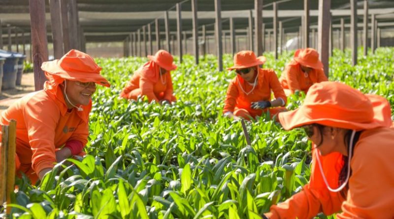 Grupo BBF já gerou mais de 1.400 empregos em 2023