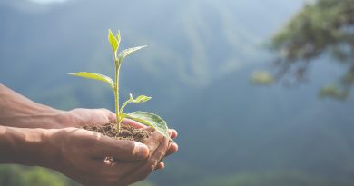 Varejo adota prática ESG para reduzir toneladas de plástico no meio ambiente