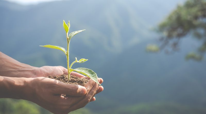 Varejo adota prática ESG para reduzir toneladas de plástico no meio ambiente