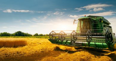 Soluções financeiras impulsionam o agronegócio brasileiro