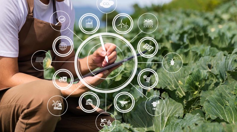Novo PAC contempla agronegócio com investimento em logística e pesquisa