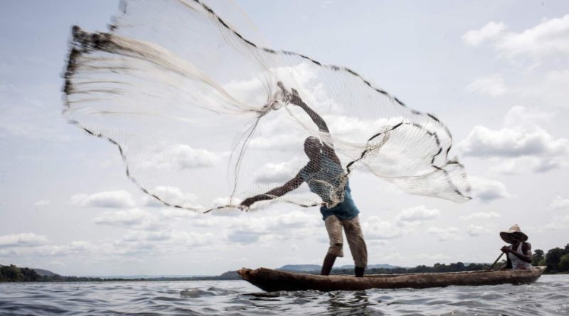 Grupo Mazzaferro cria ações voltadas para a sustentabilidade
