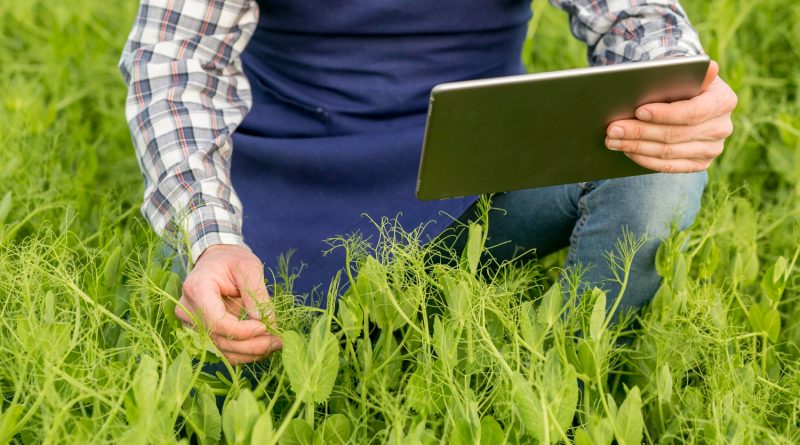 Pesquisa aponta aumento da digitalização do agronegócio