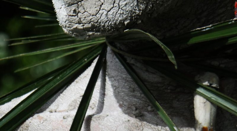 CPF SESC promove o seminário Perspectivas do Clima