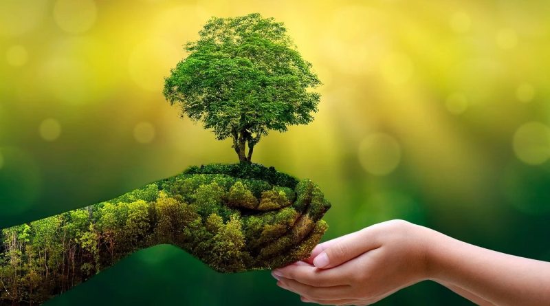 Sustentabilidade empresarial é uma necessidade no mundo dos negócios