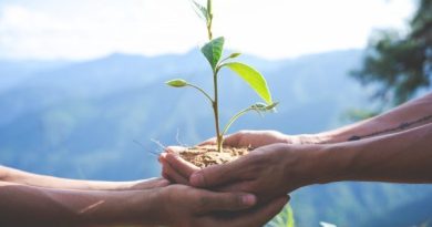 Sucessão é desafio para empresas agrícolas familiares