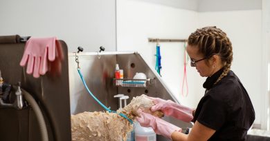 Petshop e strip malls: fusão de gigantes é benéfica