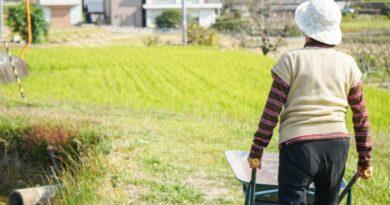 Selo Biocombustível Social impulsiona mulheres rurais