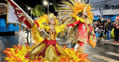 Escola de samba sobe a avenida com enredo sobre preservação ambiental