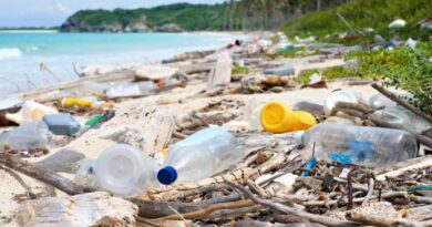 Turista Consciente: movimento quer reduzir lixo nas praias