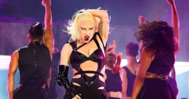 Guanabara levará cover de Lady Gaga à Rodoviária do Rio