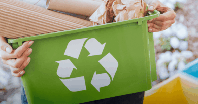 Processo de reciclagem contribui para a preservação do meio ambiente