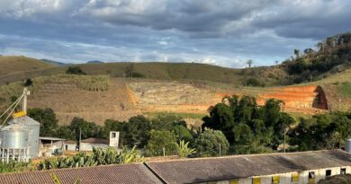 Frigorífico aposta em sustentabilidade para atrair a geração Z