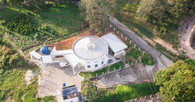 Propriedade rural de Minas Gerais é especialista em leite A2