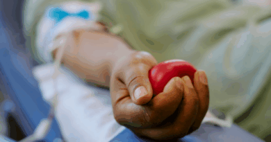 Doar sangue exige cuidados e critérios específicos