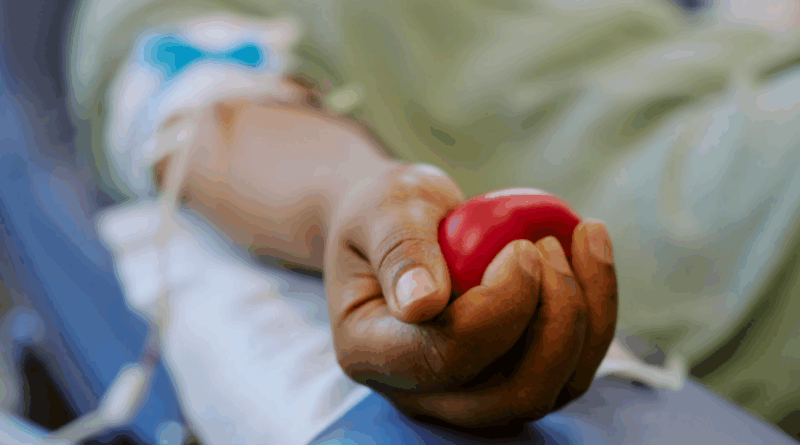 Doar sangue exige cuidados e critérios específicos