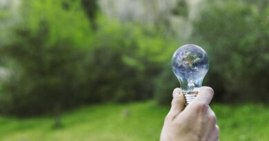 Transição energética requer equilíbrio e união de interesses