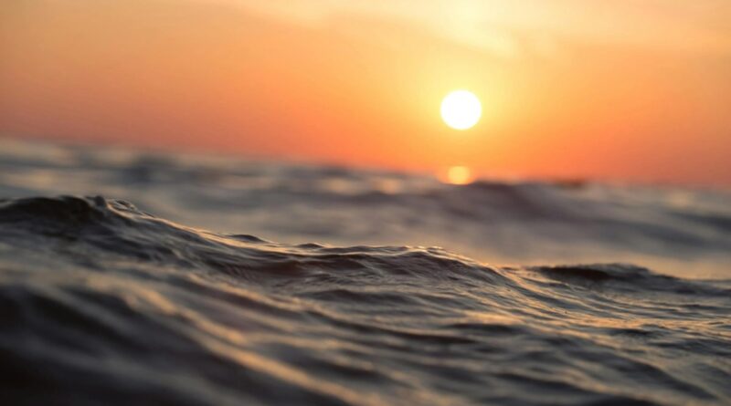 Dia Mundial dos Oceanos alerta sobre a importância desta fonte de biodiversidade