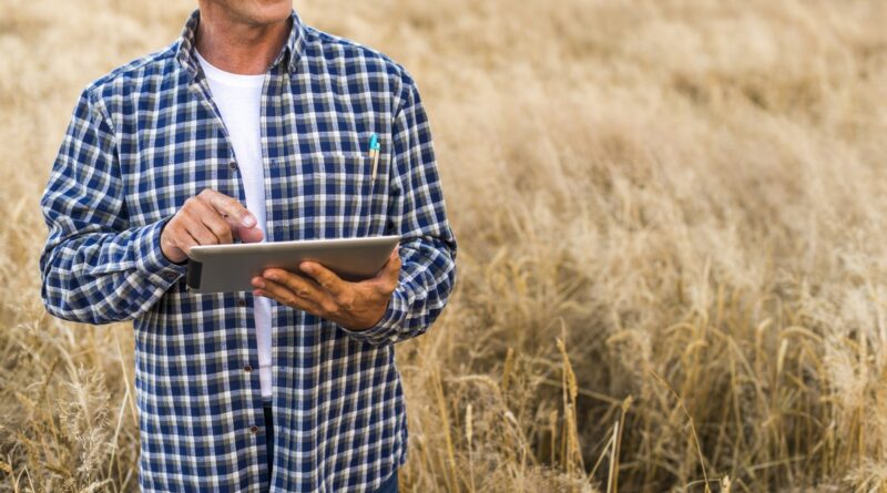 Pagamento rural exige atenção à segurança jurídica