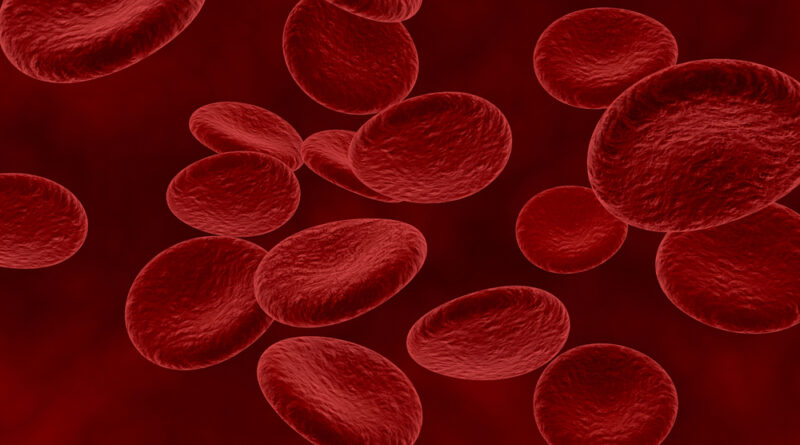 Mielodisplasia: doença silenciosa pode evoluir para leucemia