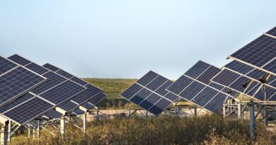 Inteligência de dados avança no setor fotovoltaico