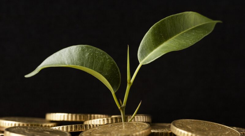 Créditos de carbono poderão quitar impostos no agronegócio