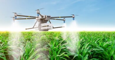 Tecnologia impulsiona sustentabilidade no agronegócio brasileiro