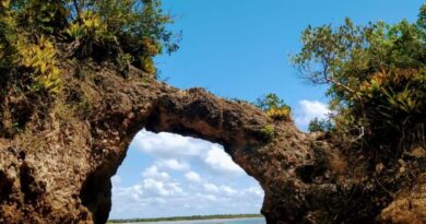 Ilhéus reúne experiências que mostram o sul da Bahia em movimento