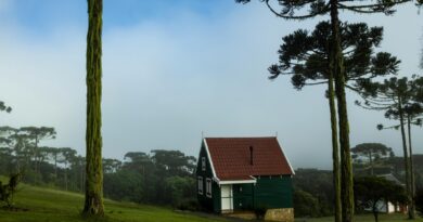 Receita Federal moderniza declaração do imposto rural em 2025