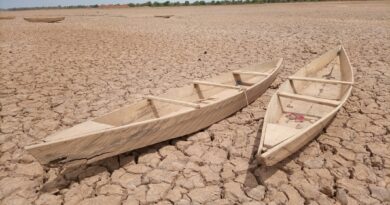 Persistência da seca na Amazônia exige logística integrada e resiliente