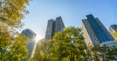Empresas avançam na estratégia ESG, mas falham na prática