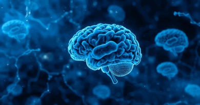 Neurociência reforça gestão de equipes em ambientes de saúde