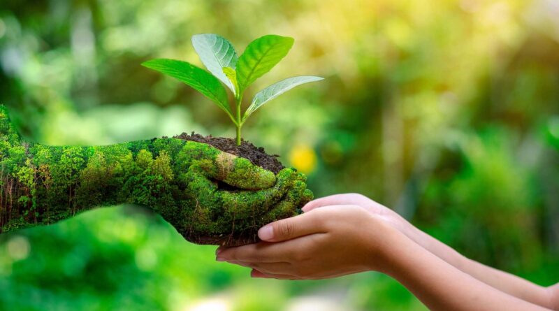 Educação ambiental promove o desenvolvimento sustentável