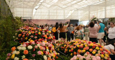 Atibaia é destaque nacional de produção de flores