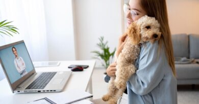 Telemedicina veterinária avança e muda rotina de atendimento