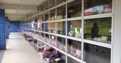 Setor funerário inova, cresce e tem foco sustentável