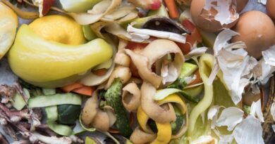 Pacto une setores para combater desperdício de alimentos