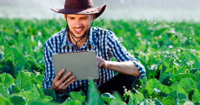 Tecnologia brasileira impulsiona a inovação no agronegócio