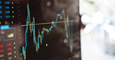 IBRI realiza curso de Inteligência Artificial para Relações com Investidores