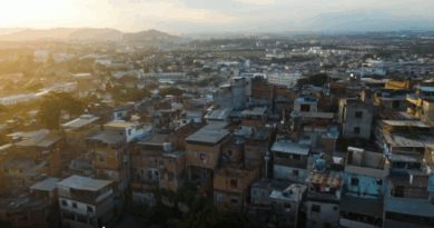Instituto Aupaba lança documentário “Mulheres que regeneram territórios”