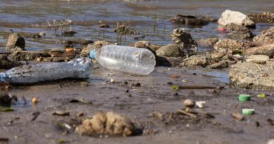 Humanidade gera mais de 400 milhões de toneladas de plástico