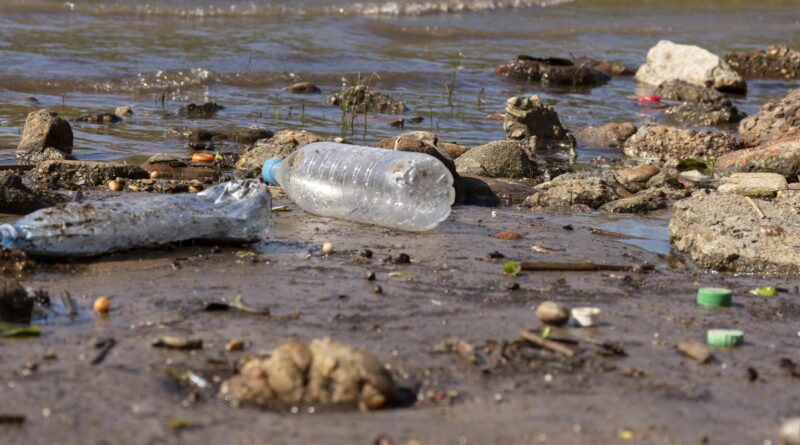 Humanidade gera mais de 400 milhões de toneladas de plástico