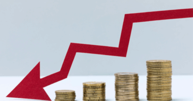 Carga tributária impacta no crescimento da economia