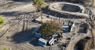 Implantação de viveiro agrícola fortalece semiárido baiano