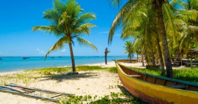 Turistas ampliam procura por passeios culturais em Ilhéus durante alta temporada