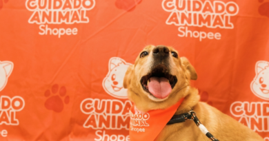 Shopee se une à Ampara Animal pelos cuidados aos animais