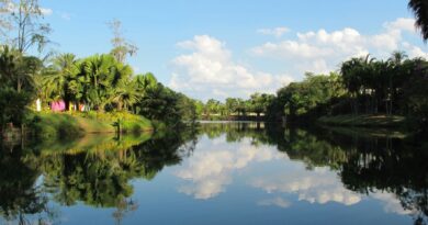 Inhotim projeta Minas Gerais no cenário internacional