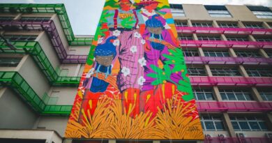 Juiz de Fora ganha nova obra de arte em grande escala do artista Wes Gama