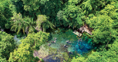 Nascente Azul é o atrativo mais visitado de Bonito (MS)