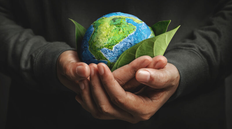 Consciência ambiental representa o respeito à integridade do meio ambiente